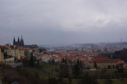 Półmaraton w Pradze