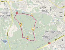 III Panewnicki Dziki Bieg