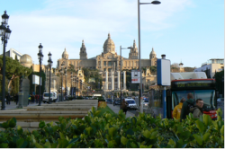 Reprezentacja Festiwalu na maratonie w Barcelonie