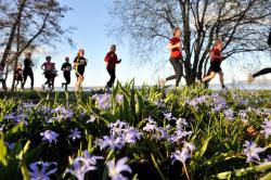 szwedzki bieg dla kobiet