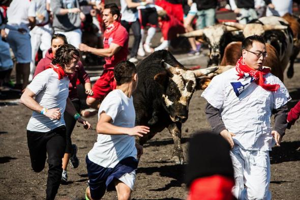 The Great Bull Run / Fot. Facebook