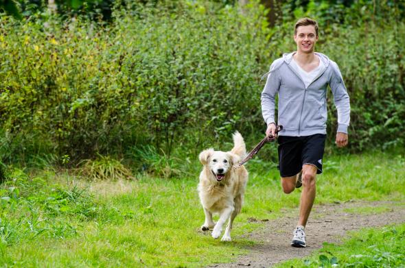 Co zabrać na bieganie z psem? 