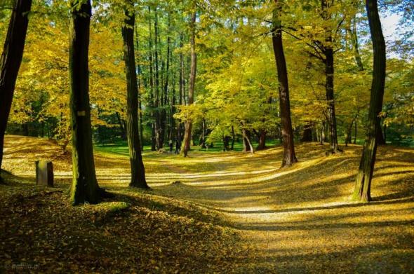 Park Złotnicki we Wrocławiu