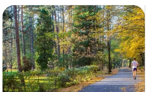 Po raz pierwszy do Gorlic zawita Wings for Life World Run