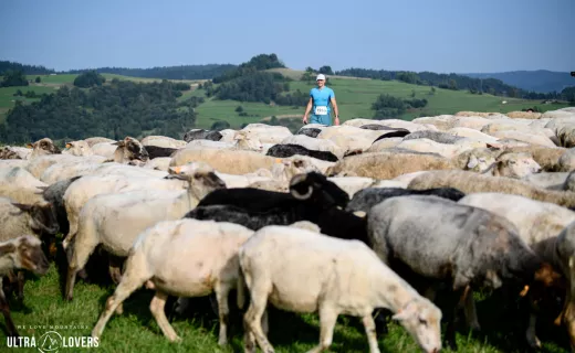 14. Festiwal Biegowy w Piwnicznej-Zdroju