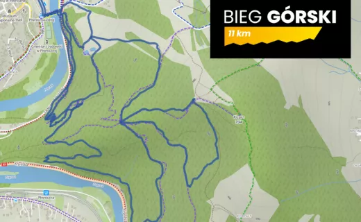 Bieg Górski 11 km