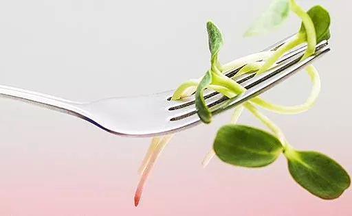 Kiełki na widełki: Zamów sobie zdrowy catering ze zniżką - 9
