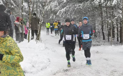 Panewnicki Bieg Dzika w Katowicach - cały rok 2015 i 2016 - 5