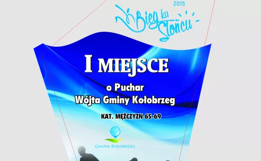 Ogólnopolski Bieg „Ku Słońcu” w Dźwirzynie - 2.9.2015 - 1