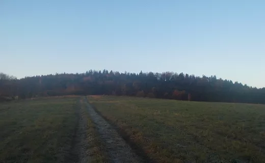 Bieg Bohaterów w Katowicach - 2