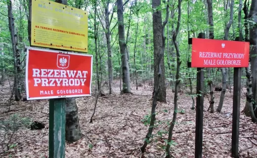 Przez Góry Świętokrzyskie do Nepalu. Ambitni Ambasadorzy - 2