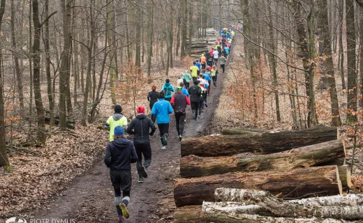 CITY TRAIL: Rekordowe bieganie we Wrocławiu i Katowicach - 11