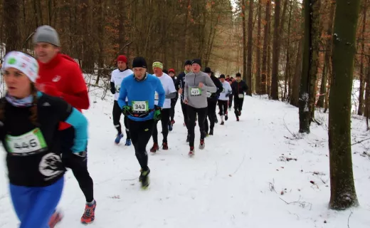 CITY TRAIL w Olsztynie, Trójmieście i Szczecinie - 1