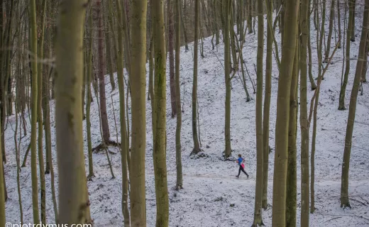 CITY TRAIL w Olsztynie, Szczecinie i Trójmieście - 1