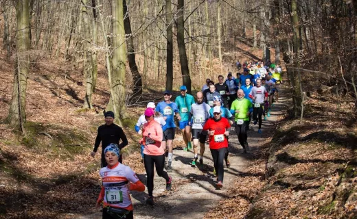 CITY TRAIL już na mecie. Zostały tylko... - 8