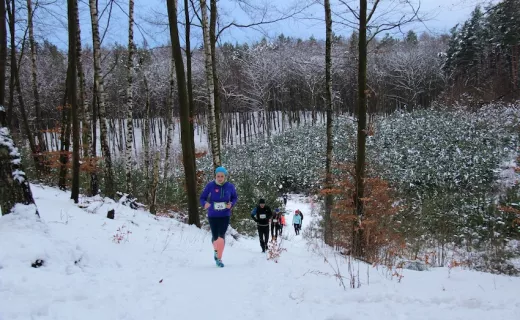 CITY TRAIL w Olsztynie, Trójmieście i Szczecinie - 3