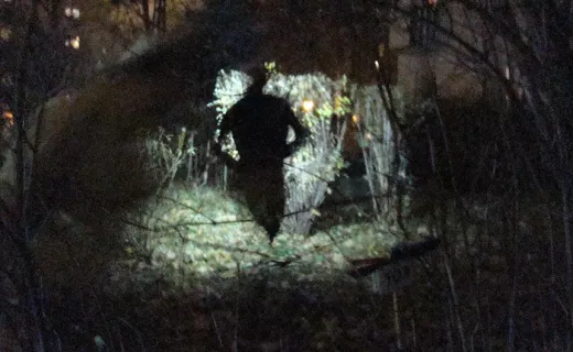 Warszawa: Orientaliści rozświetlili Sady Żoliborskie [FOTO] - 7