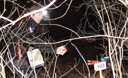 Warszawa: Orientaliści rozświetlili Sady Żoliborskie [FOTO] - 10