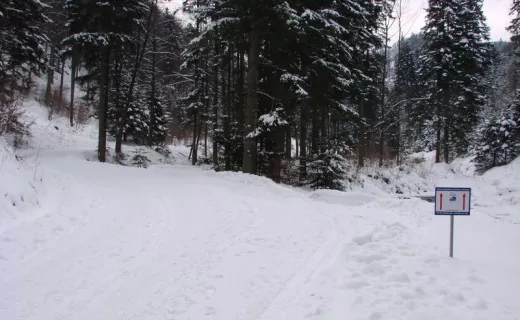 Zapraszamy na treningi na trasę biegowa w Rytrze - 
