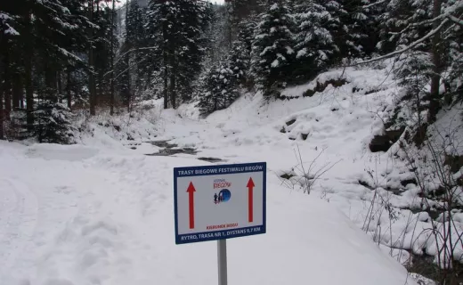 Zapraszamy na treningi na trasę biegowa w Rytrze - 