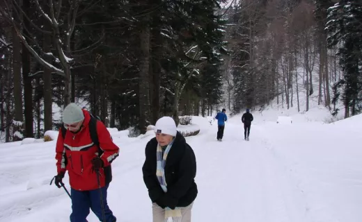 Zapraszamy na treningi na trasę biegowa w Rytrze - 
