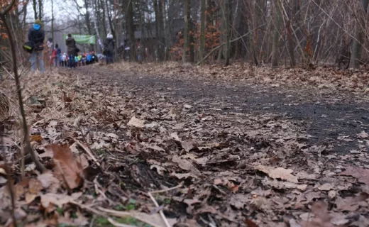 Katowice pobiegły z naturą po raz piąty [ZDJĘCIA] - 15
