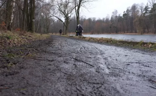 Katowice pobiegły z naturą po raz piąty [ZDJĘCIA] - 76
