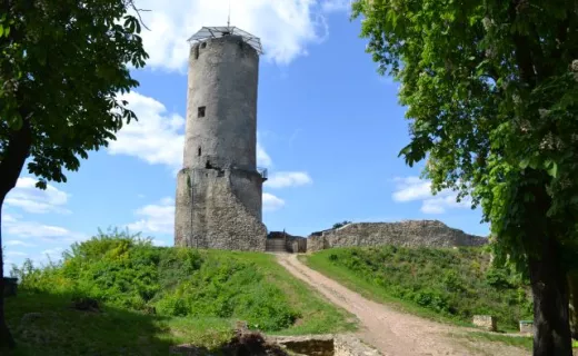 Bieg dla Słonia w Katowicach - 10