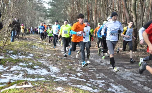 Wiosna przyszła do Falenicy. Relacja Ambasadorki - 12