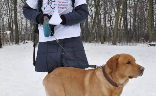 Gliwicka rodzina prowokatorów rozrasta się! [FOTO] - 14