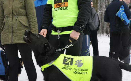 Gliwicka rodzina prowokatorów rozrasta się! [FOTO] - 24