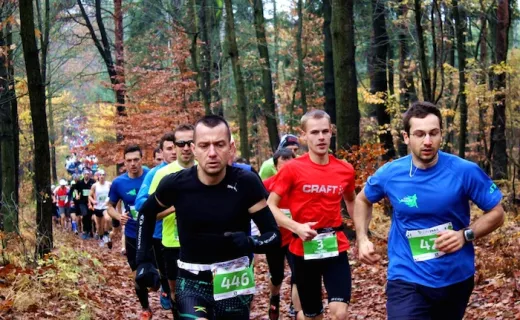 Grand Prix CITY TRAIL: Rekordowa inauguracja we Wrocławiu i Katowicach - 1