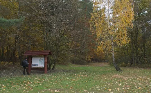Puszczańskie ścieżki Ambasadorów - 5