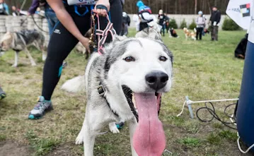 Cykl Bike Orient zainaugurował sezon z rekordem frekwencji [ZDJĘCIA] - 42