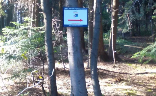  Las Chełmecki – nowa trasa Festiwalu Biegów już otwarta!  - 2