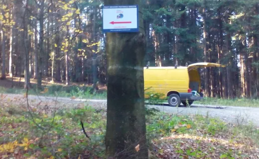  Las Chełmecki – nowa trasa Festiwalu Biegów już otwarta!  - 6