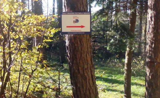  Las Chełmecki – nowa trasa Festiwalu Biegów już otwarta!  - 9