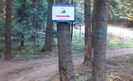  Las Chełmecki – nowa trasa Festiwalu Biegów już otwarta!  - 12