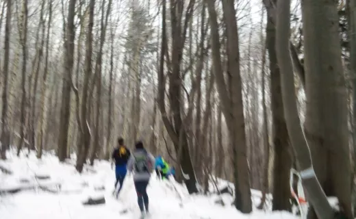 „Nieziemski” 2. Górski Zimowy Maraton Ślężański [ZDJĘCIA] - 10