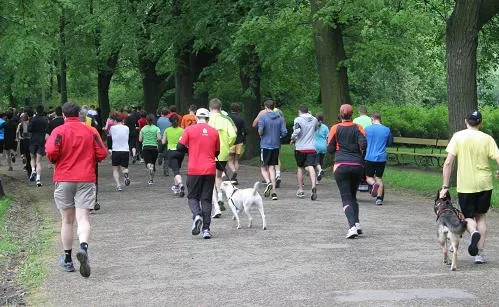 Tak się biega Parkrun [FOTOGALERIA] - 
