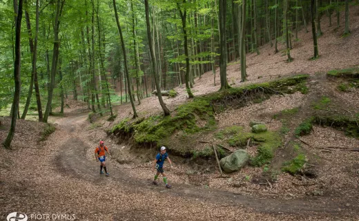 TriCity Trail: Pół tysiąca w ultra i „połówce” [ZDJĘCIA] - 7