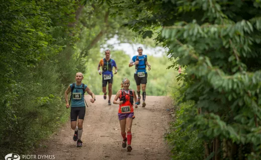 TriCity Trail: Pół tysiąca w ultra i „połówce” [ZDJĘCIA] - 1