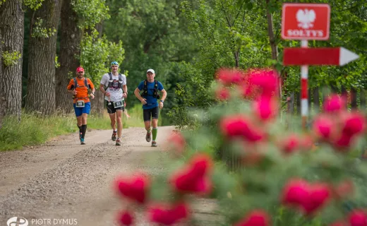 TriCity Trail: Pół tysiąca w ultra i „połówce” [ZDJĘCIA] - 3