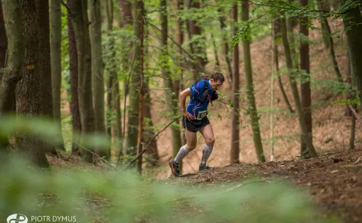 TriCity Trail: Pół tysiąca w ultra i „połówce” [ZDJĘCIA] - 4