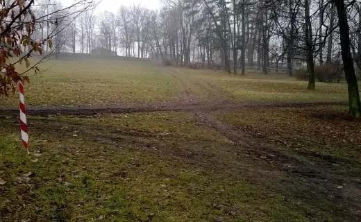 „Niszowy” XI Bieg Sylwestrowy w Chrzanowie. Bartosz Karoń z rekordem trasy - 2