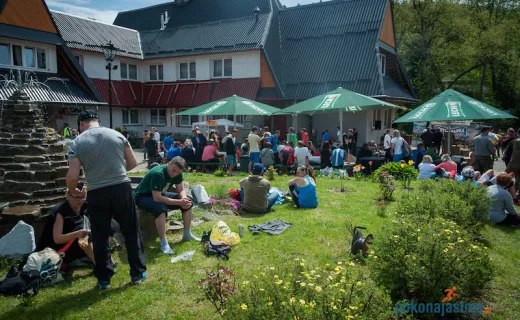 Leśny Bieg Pszczelim Szlakiem: „Świetny pomysł na imprezę biegową” [ZDJĘCIA] - 24