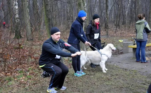 Gliwice po raz drugi sprowokowane do biegania [ZDJĘCIA] - 63