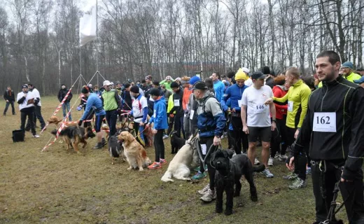 Gliwice po raz drugi sprowokowane do biegania [ZDJĘCIA] - 49