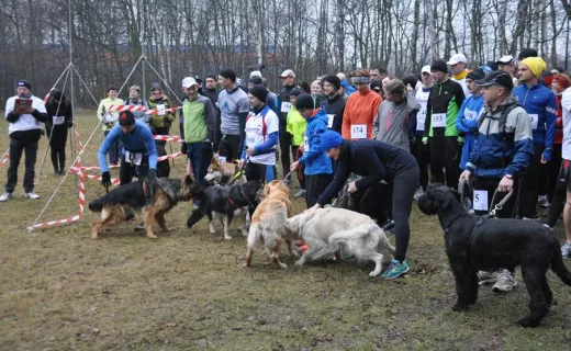 Gliwice po raz drugi sprowokowane do biegania [ZDJĘCIA] - 50
