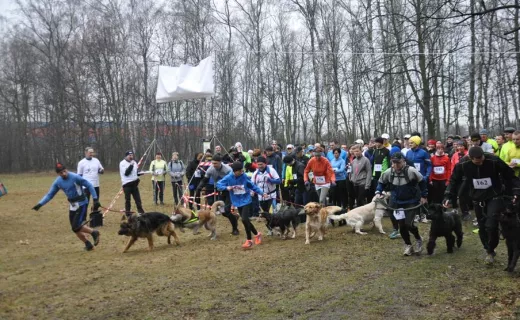 Gliwice po raz drugi sprowokowane do biegania [ZDJĘCIA] - 54